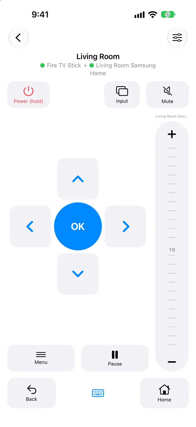 Boring Remote on iPhone: the Living Room remote for a Fire TV Stick and a Samsung TV, with power, input and mute, arrows around a blue OK button, a volume strip on the right, and menu, pause, back and home.